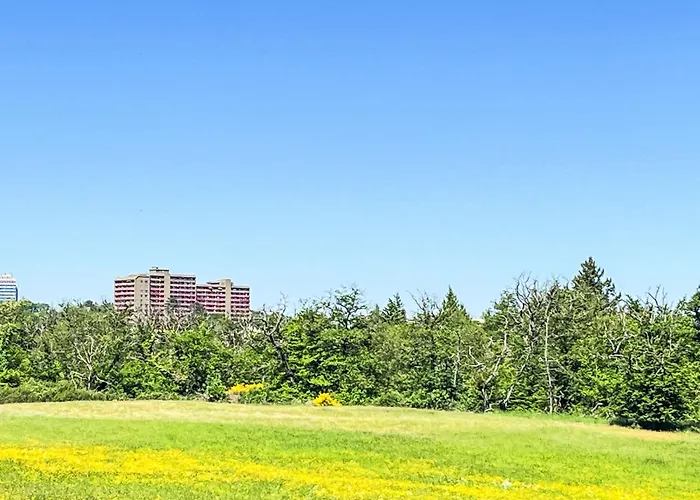 Baumblick - B610 By Interhome Lahnstein